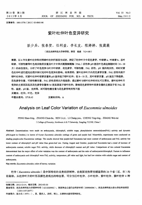 紫叶杜仲叶色变异研究