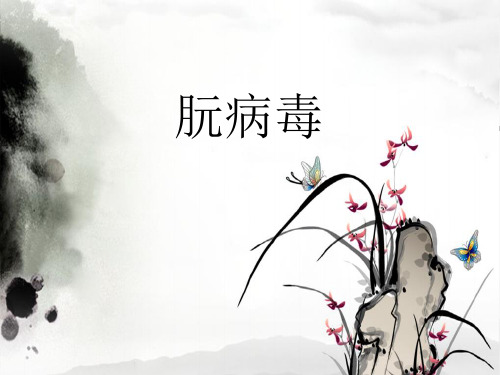 《朊病毒分子生物学》PPT课件