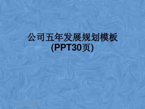 公司五年发展规划模板(PPT30页)