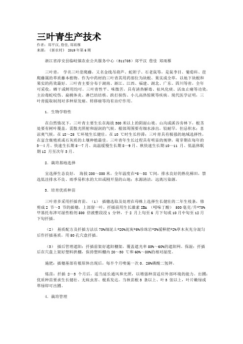 三叶青生产技术