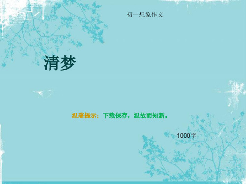 初一想象作文《清梦》1000字