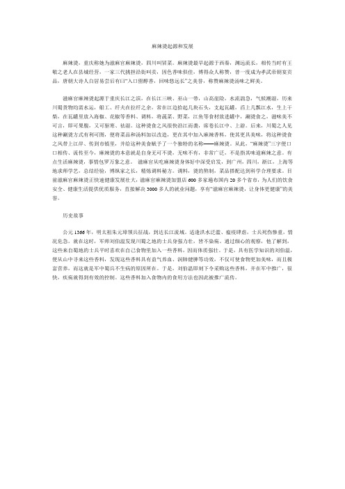 麻辣烫起源和发展