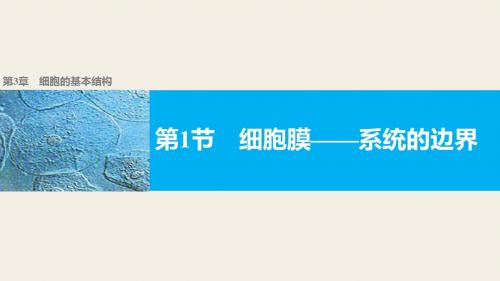 3.1 细胞膜——系统的边界