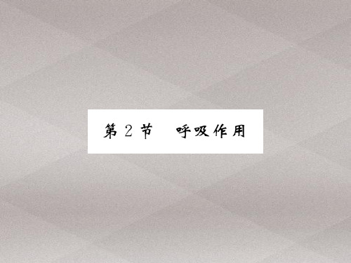 5.2 呼吸作用 2020秋北师大版七年级上册生物习题课件