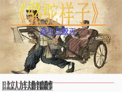整本书阅读共议课《骆驼祥子》PPT