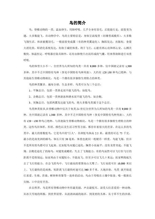 鸟的简介