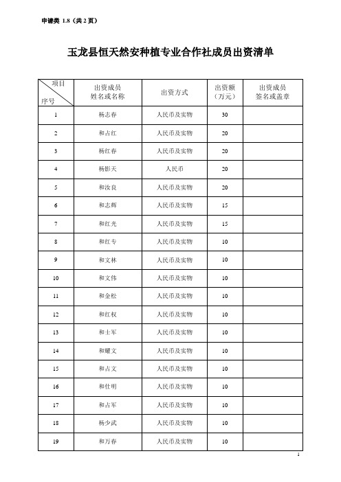 出资清单