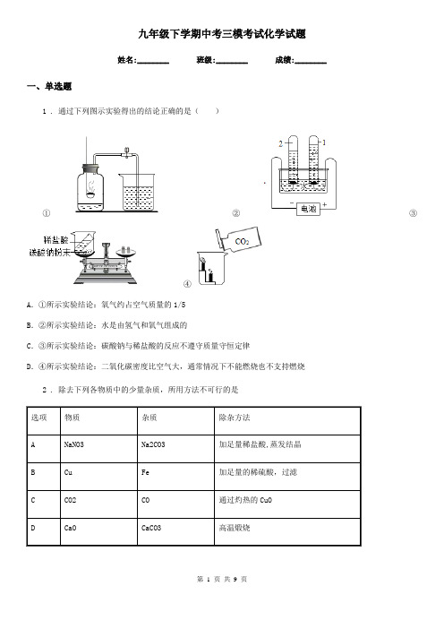 九年级下学期中考三模考试化学试题