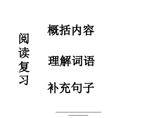 最新语文阅读复习课件PPT