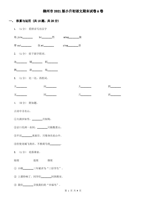 柳州市2021版小升初语文期末试卷A卷(精编)