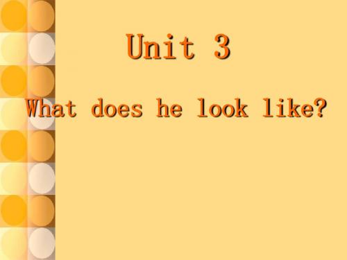 What_does_he_look_like？