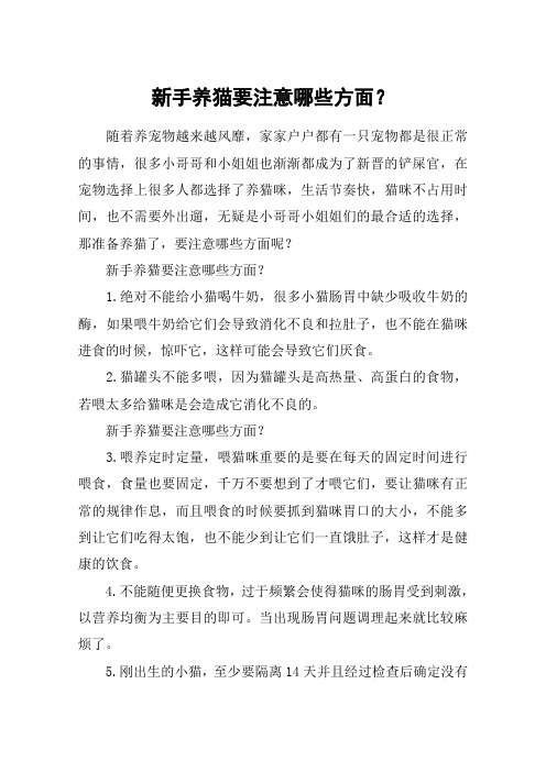 新手养猫要注意哪些方面？
