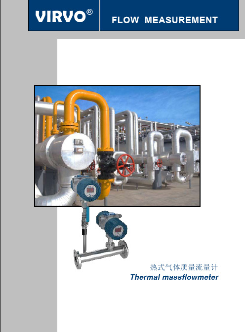 VF10热式气体质量流量计