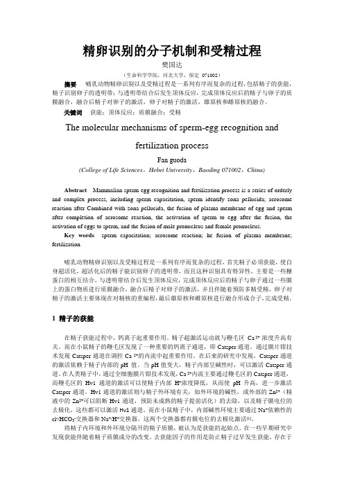 精卵识别的分子机制与受精过程