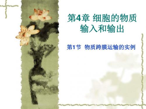 高中生物物质跨膜运输实例PPT