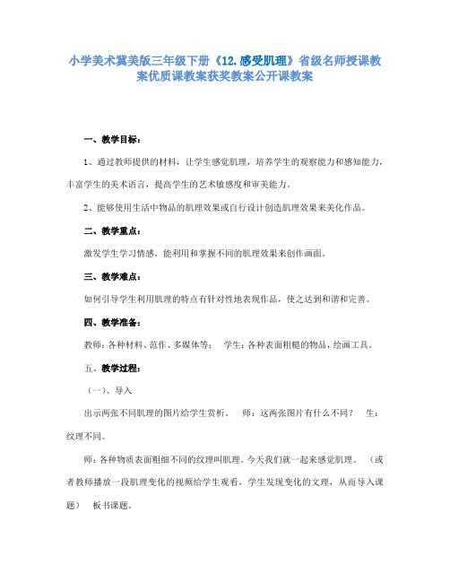 小学美术冀美版三年级下册《12.感受肌理》省级名师授课教案优质课教案获奖教案公开课教案A007