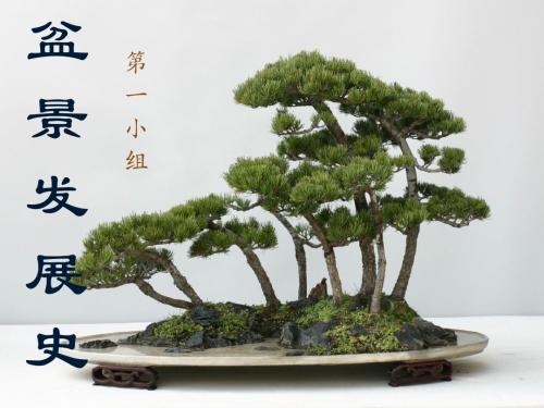 盆景学发展史