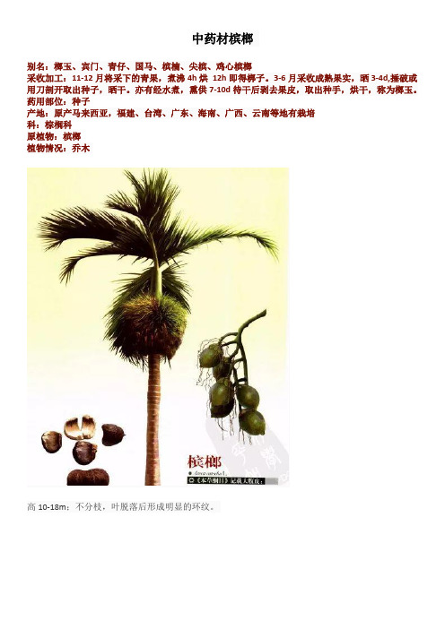 中药材槟榔