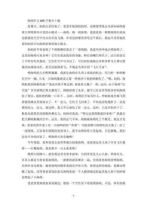 精选海鸥作文600字集合十篇