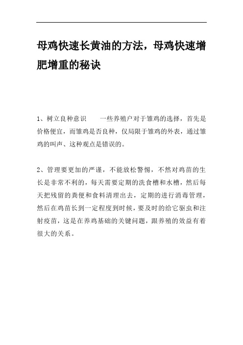 母鸡快速长黄油的方法,母鸡快速增肥增重的秘诀