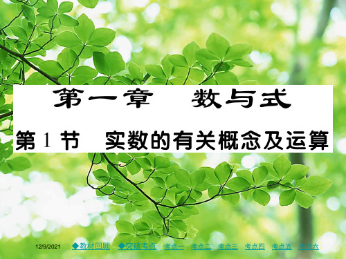 中考数学总复习 第一章 数与式 第1节 实数的有关概念及运算课件