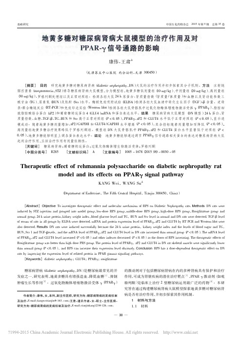 地黄多糖对糖尿病肾病大鼠模型的治_省略_作用及对PPAR_信号通路的影响_康伟