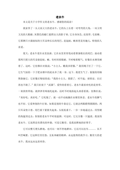 老水牛_小学作文