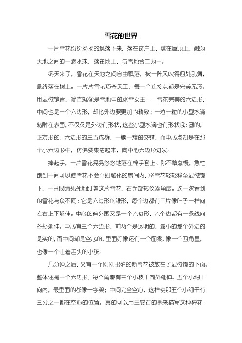 写景作文：雪花作文600字