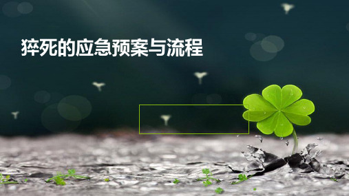 (教学课件)猝死的应急预案与流程