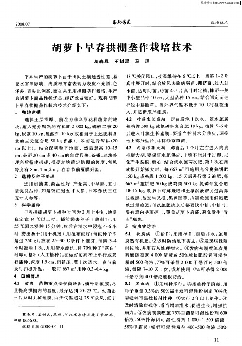 胡萝卜早春拱棚垄作栽培技术