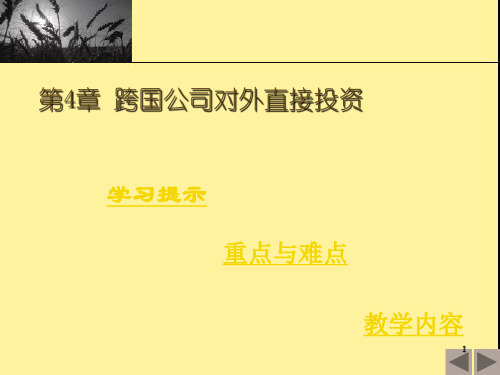 直接投资环境评价 课件