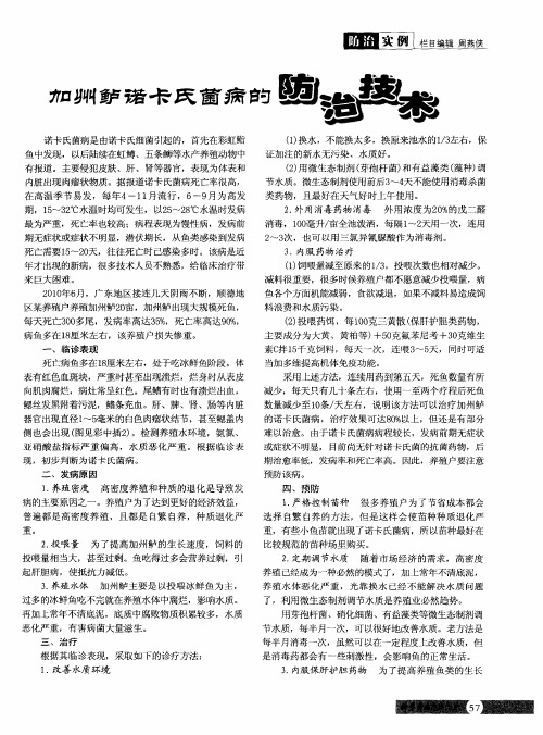 加州鲈诺卡氏菌病的防治技术