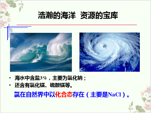 课件_人教版必修一氯PPT课件_优秀版