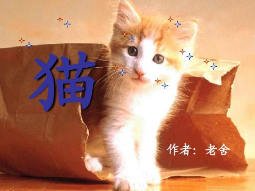 老舍《猫》ppt课件(26页)