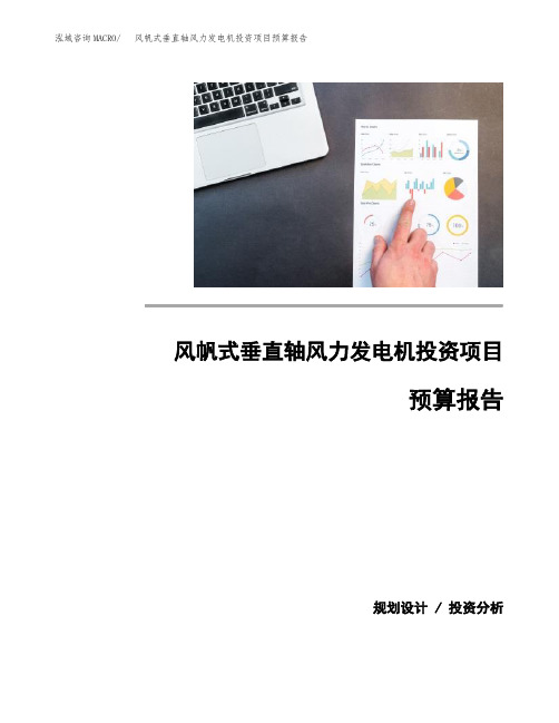 风帆式垂直轴风力发电机投资项目预算报告