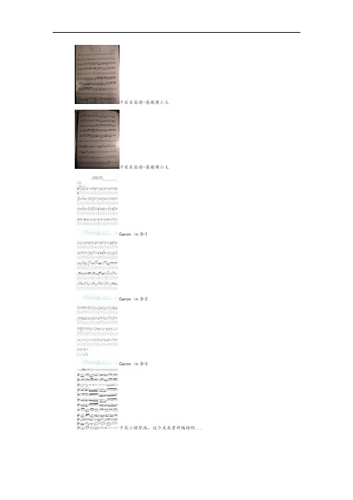 最全的《卡农》乐谱各种版本都有(转)