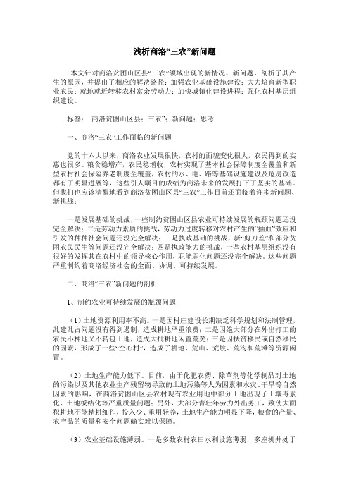 浅析商洛“三农”新问题