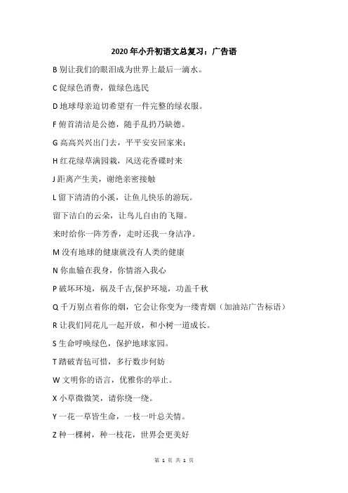 2020年小升初语文总复习：广告语