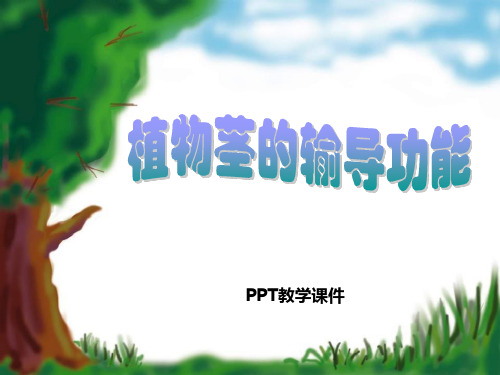 5.4植物茎的输导功能(27)精品课件