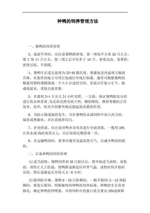 种鸭的饲养管理方法