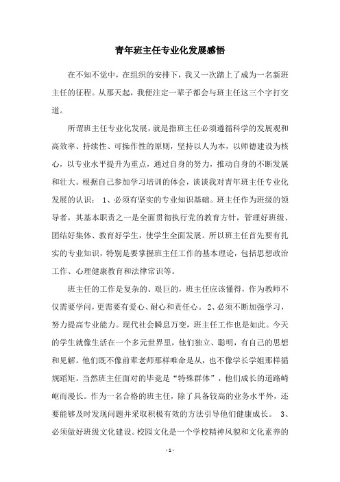 青年班主任专业化发展感悟