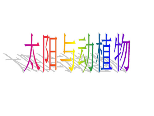 太阳与动植物