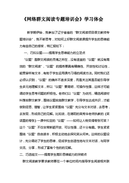网络群文阅读专题培训会心得体会