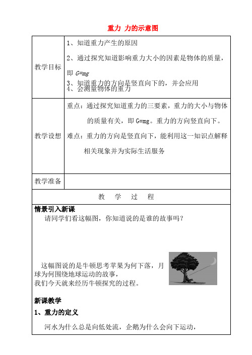 苏科初中物理八下《8.2重力 力的示意图》word教案设计