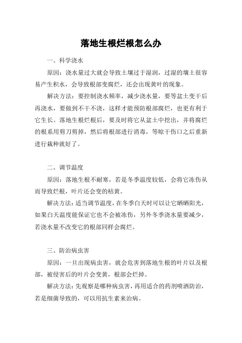 落地生根烂根怎么办