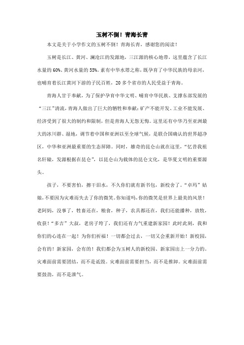 玉树不倒!青海长青_小学作文
