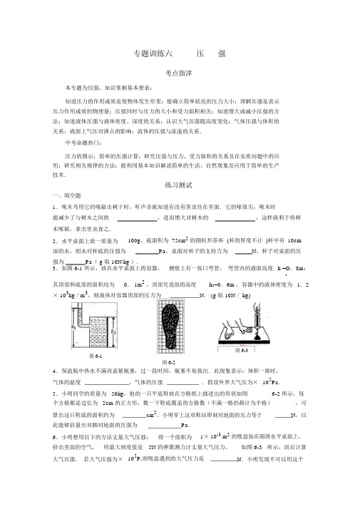 中考物理压强专题训练及答案