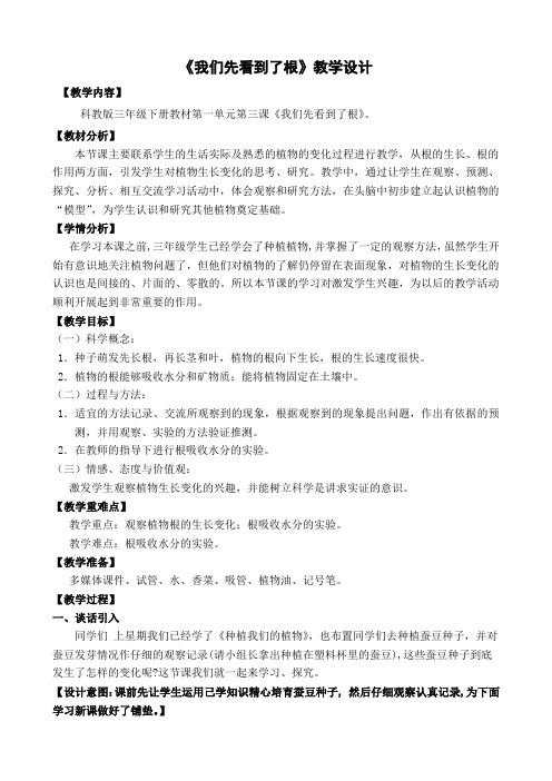 教科版三年级科学下册《 植物的生长变化  我们先看到了根》公开课教案_3