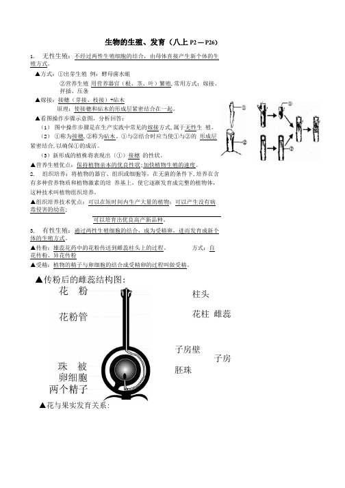 八上生物期中复习提纲.docx