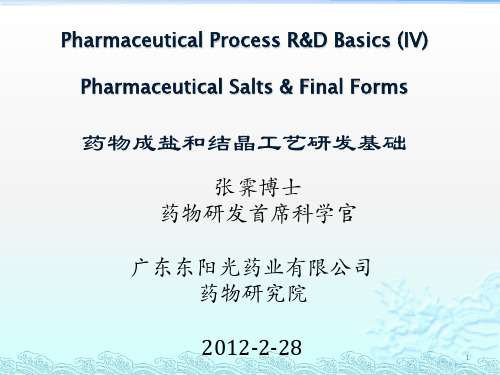 药物成盐和结晶工艺研发基础